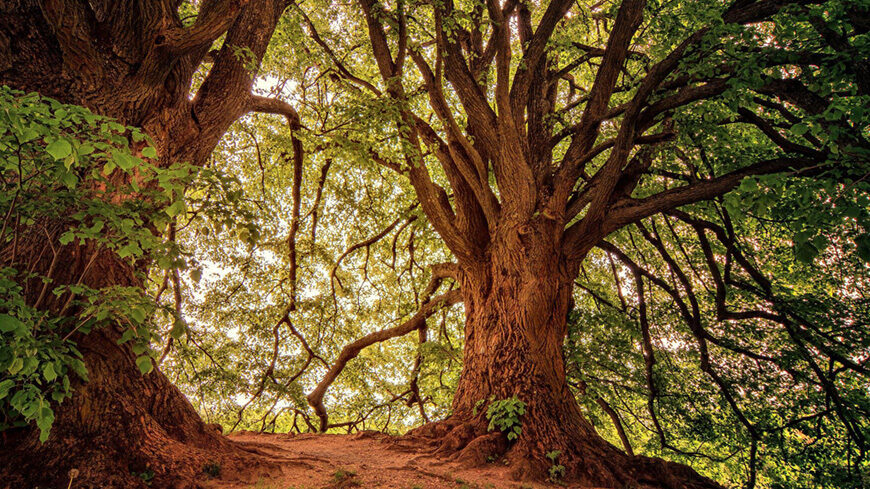Balade Nature ADMR